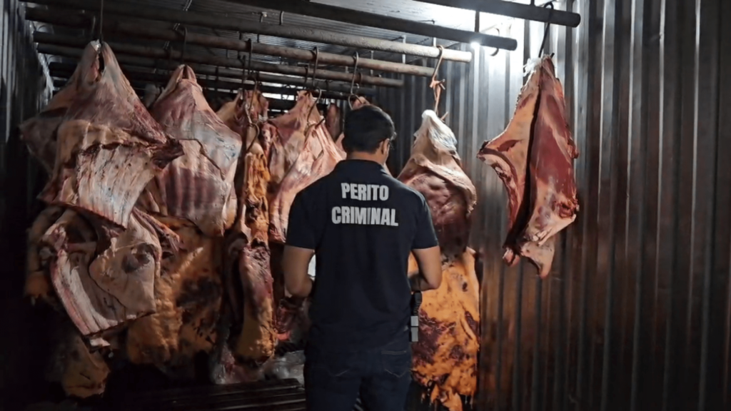 Operação policial investiga venda de carne estragada com lucro ilegal.