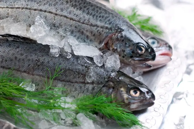 Produção de peixes cresce até 40% na Quaresma